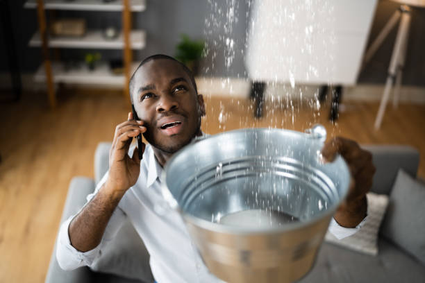 Best Carpet water damage restoration  in Krum, TX