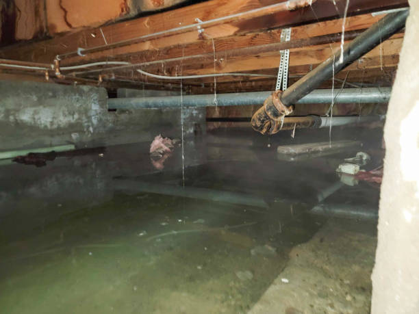 Professional Water damage restoration in Krum, TX