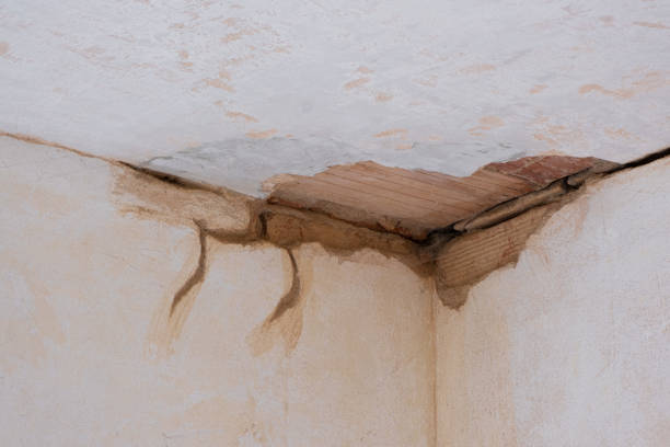 Best Carpet water damage restoration  in Krum, TX