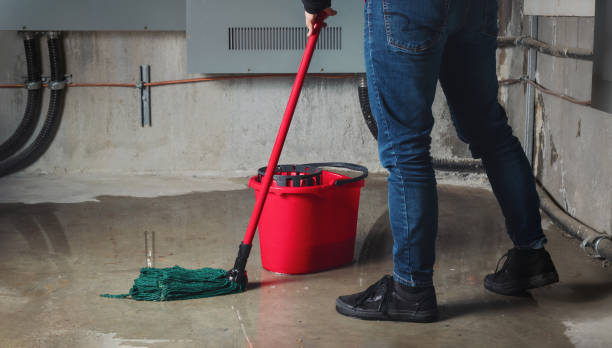 Best Fire Damage Restoration  in Krum, TX