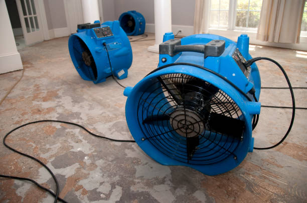 Best Ceiling water damage repair  in Krum, TX