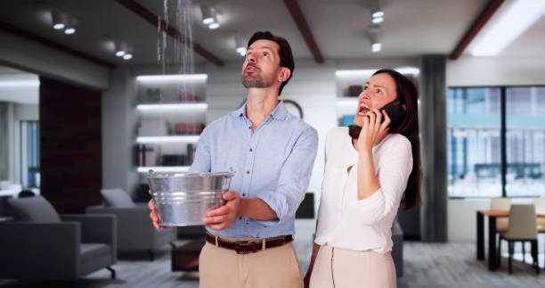 Best Basement water damage restoration  in Krum, TX